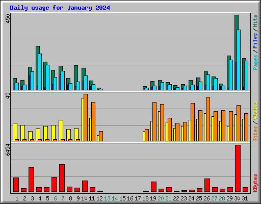 Daily usage for January 2024