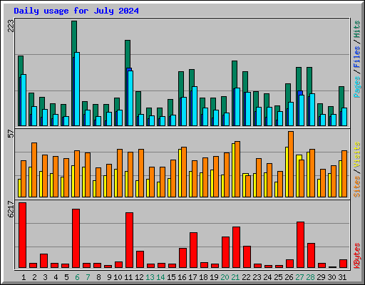 Daily usage for July 2024