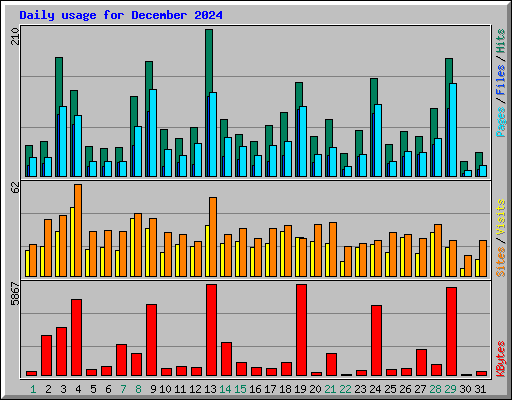 Daily usage for December 2024