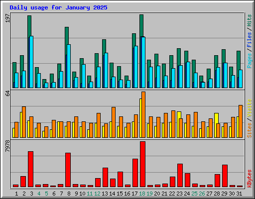 Daily usage for January 2025