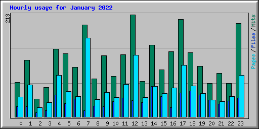 Hourly usage for January 2022