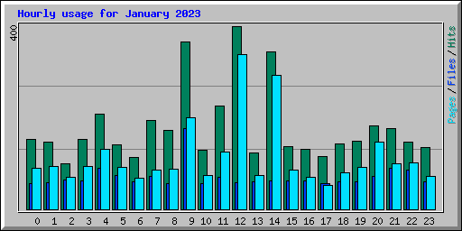 Hourly usage for January 2023