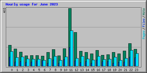 Hourly usage for June 2023