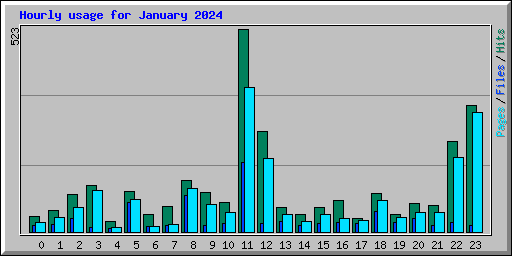 Hourly usage for January 2024
