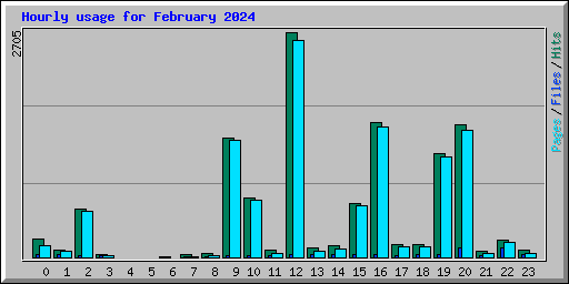Hourly usage for February 2024