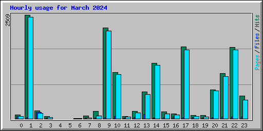 Hourly usage for March 2024