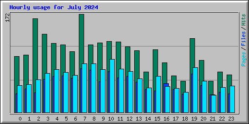 Hourly usage for July 2024