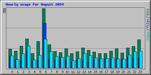 Hourly usage for August 2024