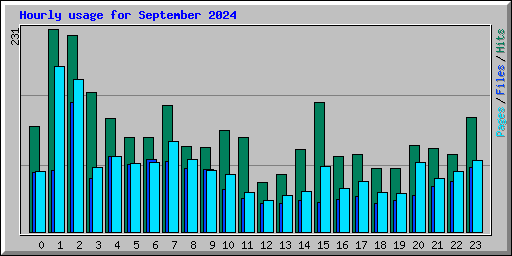 Hourly usage for September 2024