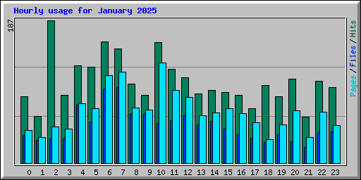 Hourly usage for January 2025