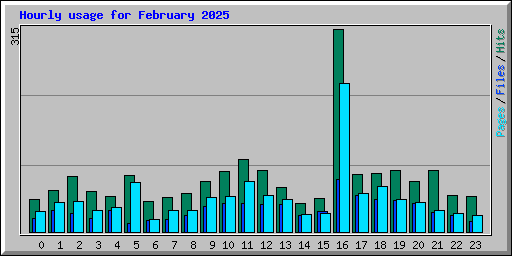Hourly usage for February 2025