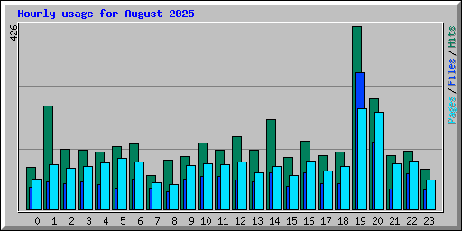 Hourly usage for August 2025