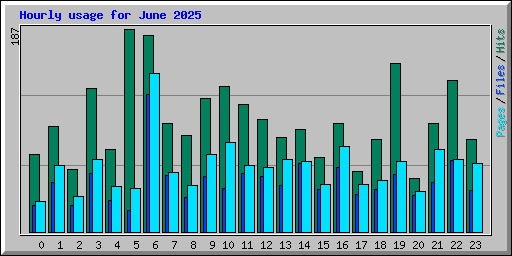 Hourly usage for June 2025