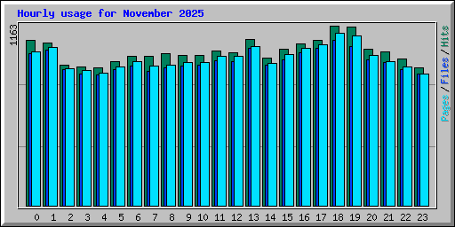 Hourly usage for November 2025