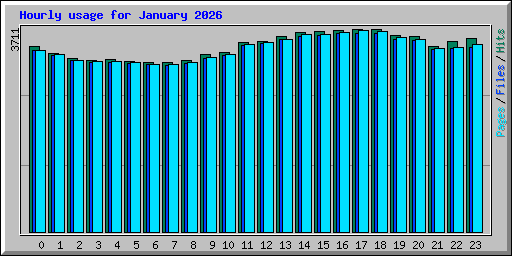Hourly usage for January 2026