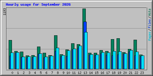 Hourly usage for September 2026